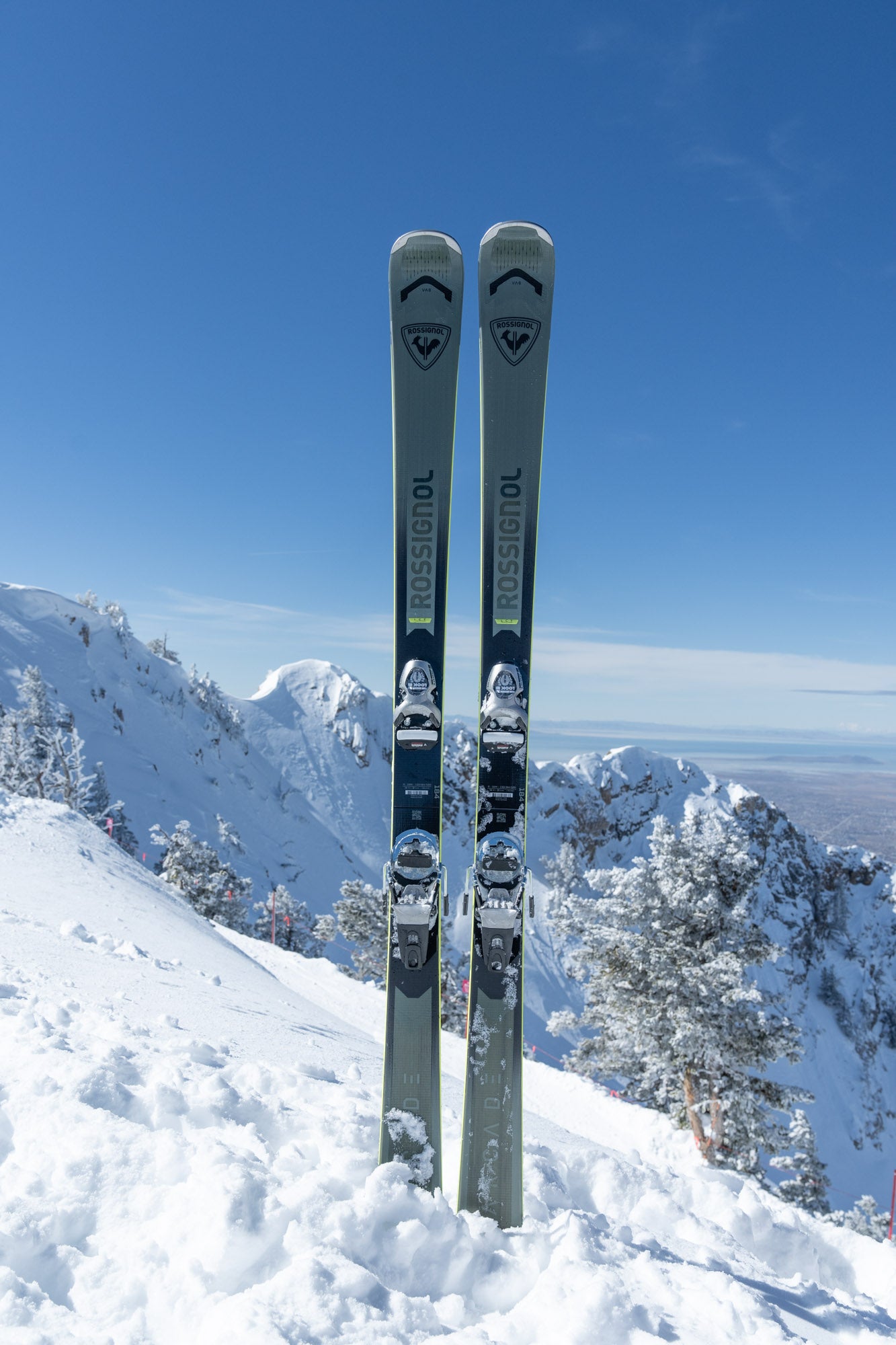 Rossignol Thredbo